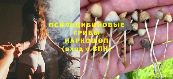 меф Белокуриха