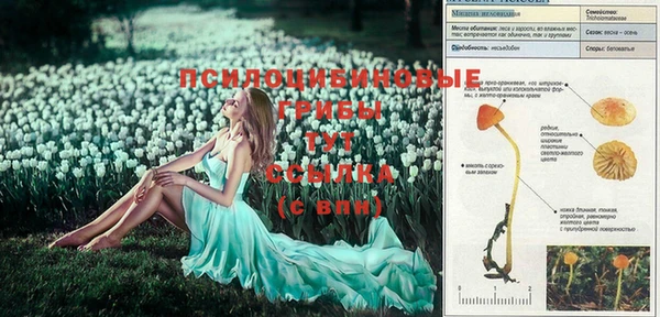 меф Белокуриха